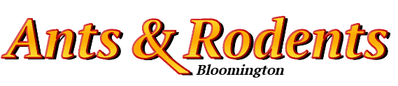 Bloomington Ant Exterminator & Rodent Control Company Logo